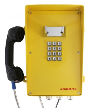 Joiwo Weatherproof VoIP Telephone without Display JWAT216P-IP